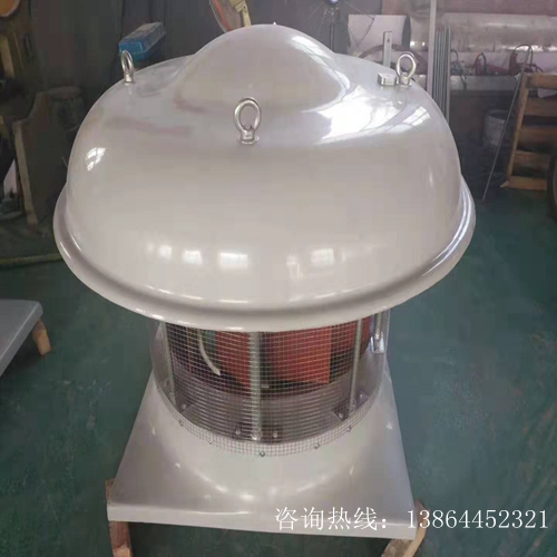 BDWT-II型 玻璃（lí）鋼防腐防（fáng）爆屋頂離心式通風機